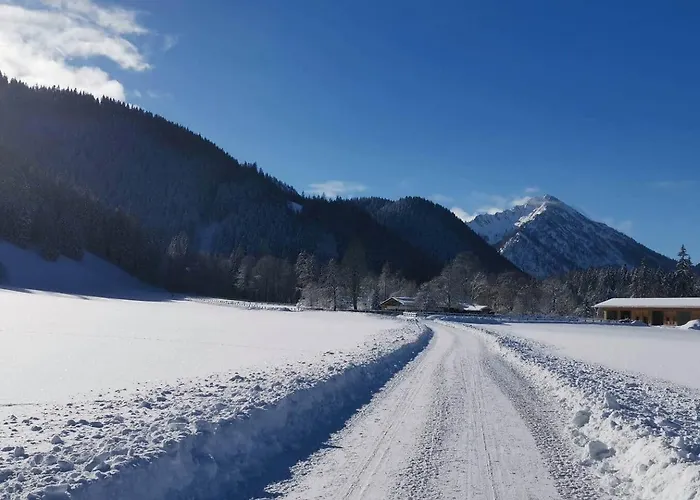 Buche - Bergerhoeh * Bad Wiessee