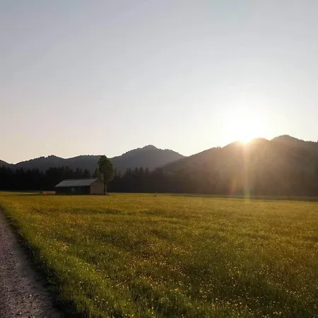 Buche - Bergerhoeh * Bad Wiessee