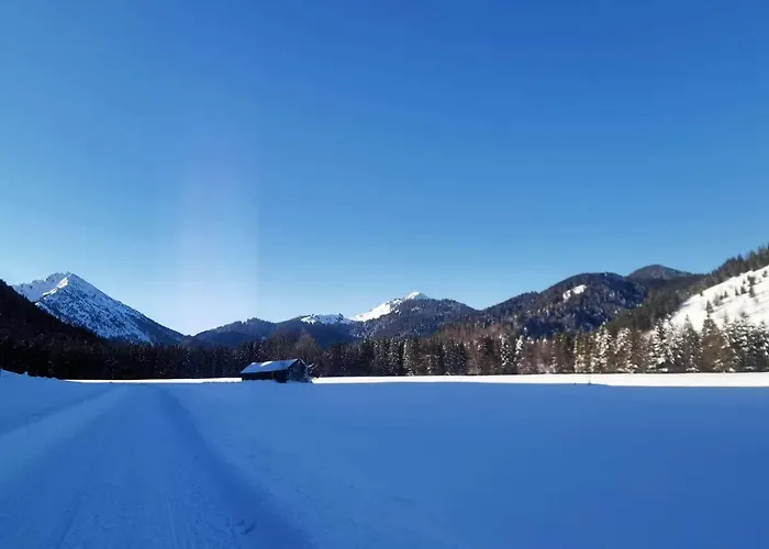 Buche - Bergerhoeh Daire Bad Wiessee