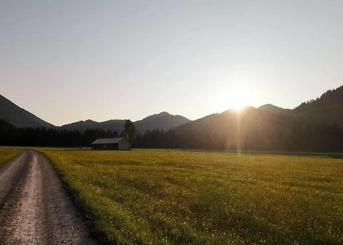 Buche - Bergerhoeh * Bad Wiessee
